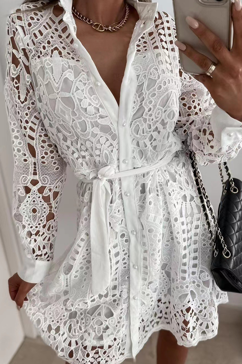 Robes décontractées en dentelle, col montant, taille cintrée (3 couleurs)