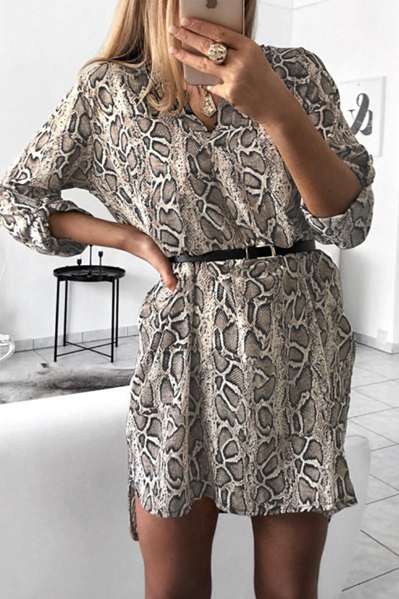 Robes Casual Imprimées, Fente, Col en V, Coupe Droite (5 Couleurs)