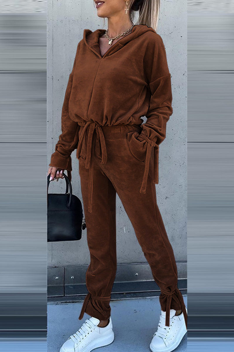 Elegant Solid Solid Color Hooded Collar Long Sleeve Two Pieces