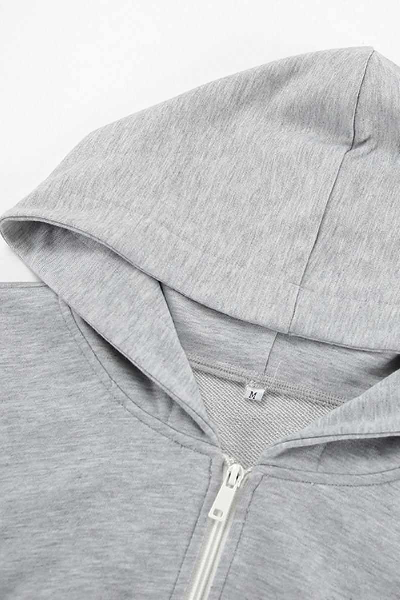 Casual Sportswear Solid Color Zipper Hooded Long Sleeve Two Pieces