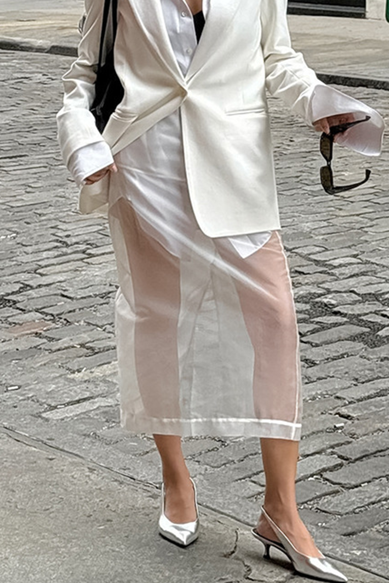 Sexy See-Through Zipper High Waist Type A Bottoms