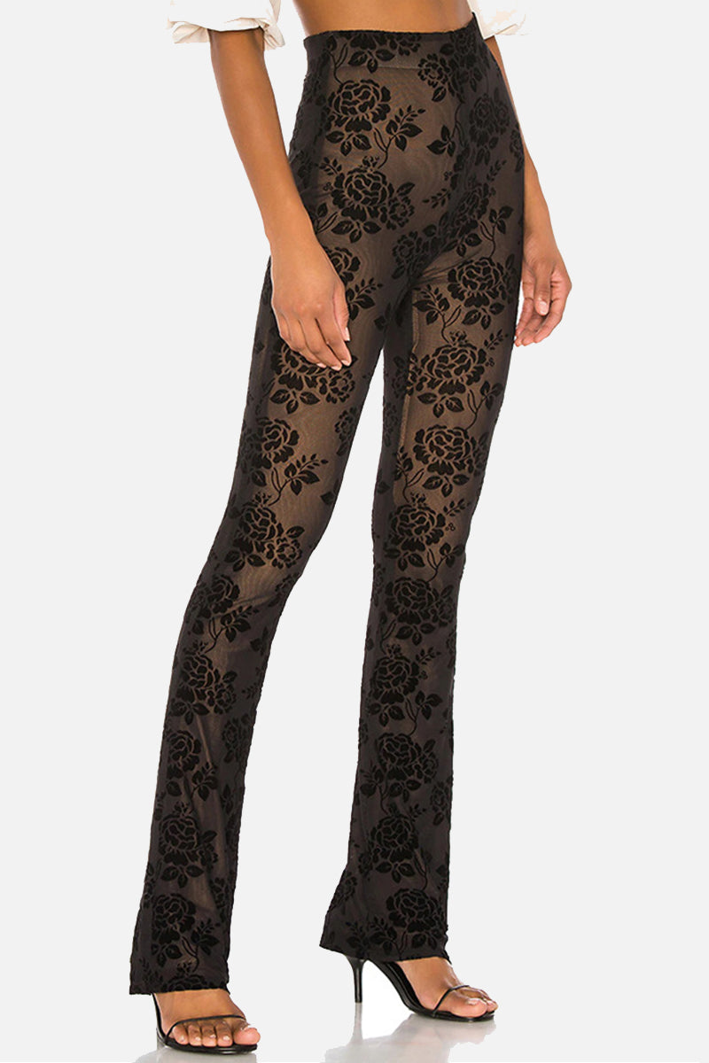 Sexy Spitzen-Hose mit transparentem Einsatz, normale hohe Taille