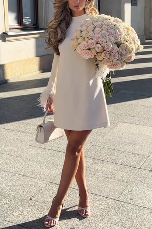 Mockneck Feather Trim Long Sleeves Mini Dress